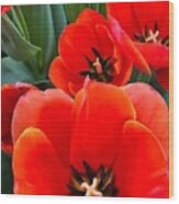 Ad Rem Tulips Wood Print