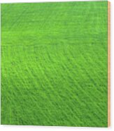 Aerial View On Green Agriculture Field Wood Print