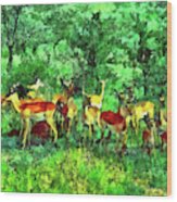 Africa Impalas Wood Print