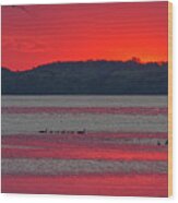 After Sunset On Lake Waubesa At Babcock Park Wood Print