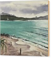 Afternoon At Little Cove Noosa Heads Wood Print