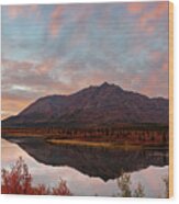 Alaska Fall Colors Wood Print