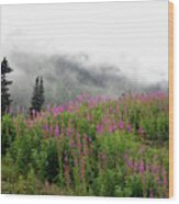 Alaska Mountain Wildflowers Wood Print