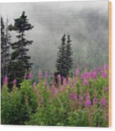 Alaska Pines And Wildflowers Wood Print