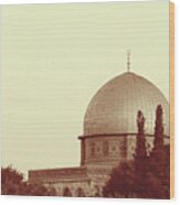 Albumen Print Of Amazing Mosques Around The World - 040, Woodburytype Wood Print