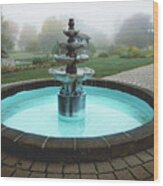 Allentown Rose Gardens Water Fountain Wood Print