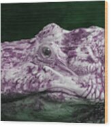 Alligator In Infrared Wood Print