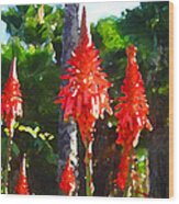Aloe Arborescens With Palm Trees Wood Print