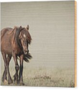 Alone I Wander - Horse Art Wood Print