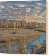 Along The Gros Ventre River In Autumn Wood Print
