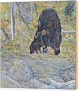 American Black Bear With Cubs Wood Print