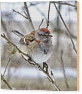 American Tree Sparrow In Snowfall Wood Print