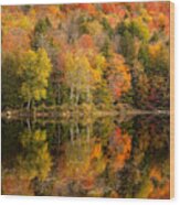 An Adirondack Autumn Wood Print