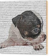 An Angel, Black And White Chihuahua Dog Puppy - Brick Block Background Wood Print