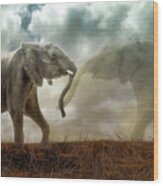An Elephant Never Forgets Wood Print