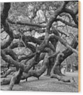 Angel Oak Tree Wood Print