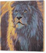 Animal Abstract Art - Male Lion Sunset Wood Print