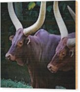 Ankole Cattle Wood Print