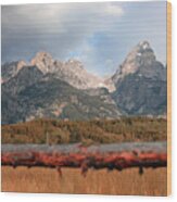 Another Day In The Tetons Wood Print