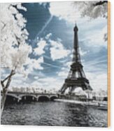 Another Look - Paris France Wood Print