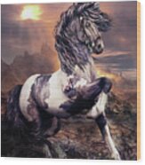 Apache War Horse Wood Print