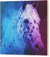 Appaloosa Horse Close Up Portrait In Blue And Violet Wood Print