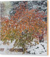 Apricot Tree In A Winter Storm Wood Print