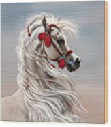 Arabian With Red Tassels By Stacey Mayer Wood Print