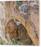 Arch At El Malpais National Monument Wood Print