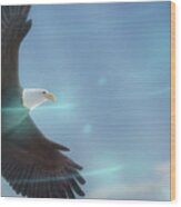Art - Bird Of Freedom Wood Print