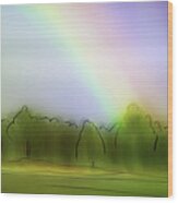 Art - The Rainbow Wood Print