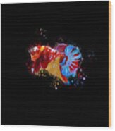 Artistic Nemo Multicolor Betta Fish Wood Print