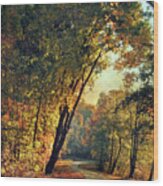 The Winding Path Through Autumn Wood Print