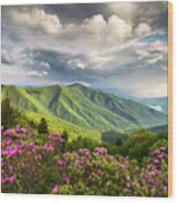 Asheville Nc Blue Ridge Parkway Spring Flowers Wood Print