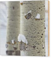Aspen Tree And Snow Wood Print