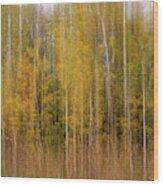 Aspenscape - Intentional Camera Motion Blur On Aspen Grove In Autumn Scene Wood Print