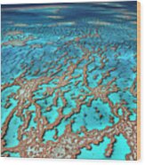 Australia - The Great Barrier Reef Wood Print