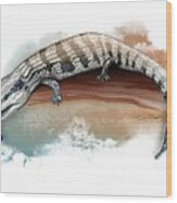 Australian Blue Tongue Lizard Wood Print