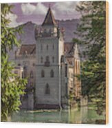 Austrian Castle And Moat Wood Print