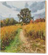 Autumn Afternoon On The Trail Wood Print