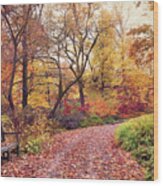Autumn Azalea Garden Wood Print