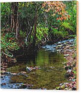 Autumn Branches Over The Stream Wood Print