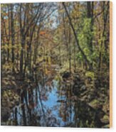 Autumn Brook - Clinton Ct Wood Print