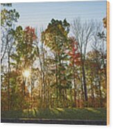 Autumn Colors At Sunrise - Natchez Trace Wood Print