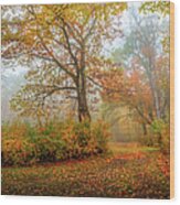 Autumn Colors 0901 Wood Print