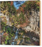 Autumn Colors In Robert H Treman State Park Wood Print