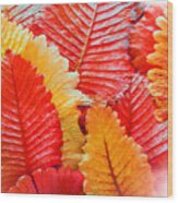 Autumn Colours Wood Print