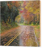 Autumn Drive Ii Wood Print