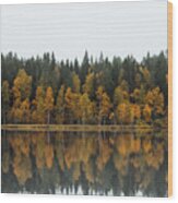 Autumn Fairy Tale In Kainuu, Finland Wood Print