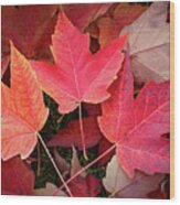 Autumn / Fall Leaves Painting Wood Print